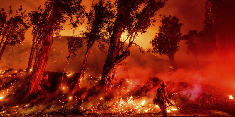 Consejos para evitar incendios forestales en Mendoza