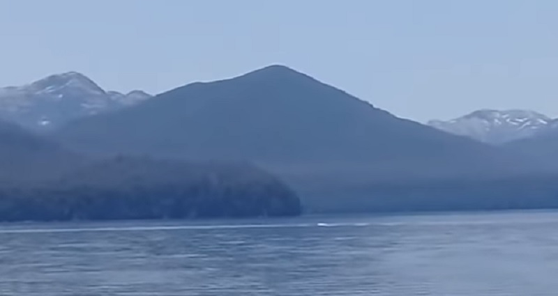 ¿Es el Nahuelito? Una extraña figura fue vista en el Nahuel Huapi