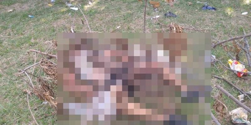 Matan a golpes a un joven e intentan prender fuego su cuerpo en un parque de Temperley