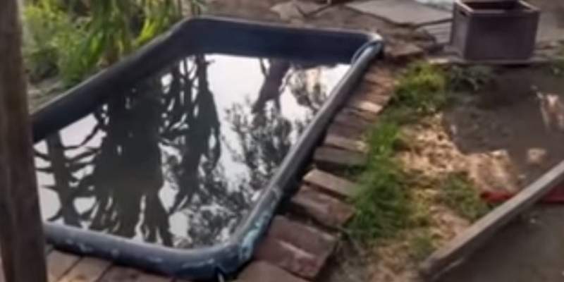 «¡Ahogalo!»: detuvieron a una pareja en Rosario por intentar matar a su hijo de 9 años