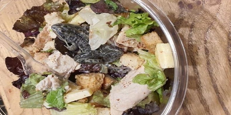 Una rana en la ensalada del shopping