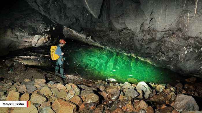 Descubren a 100 metros bajo tierra el pez de cueva más grande del mundo