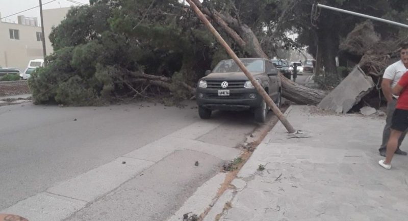 Un fuerte vendaval en Chubut ocasionó daños en Trelew, Madryn, Rawson y Gaiman