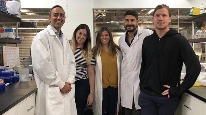Científicos argentinos crearon el prototipo de un kit para diagnosticar coronavirus