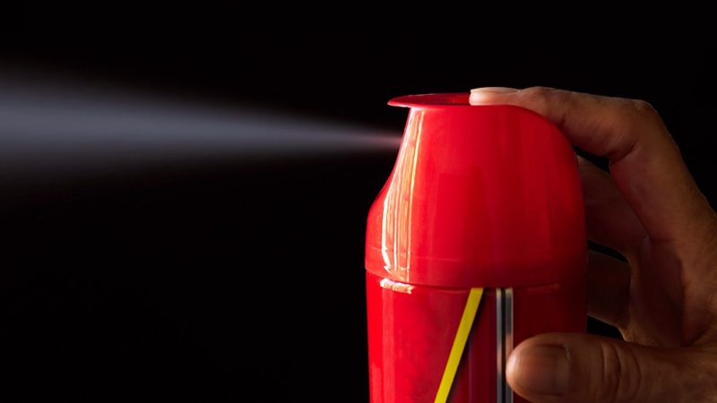 ANMAT exigió el retiro del mercado de insecticidas por fallas
