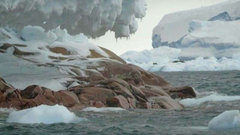 Cambio climático: surge una isla en la Antártida por efecto del deshielo glaciar