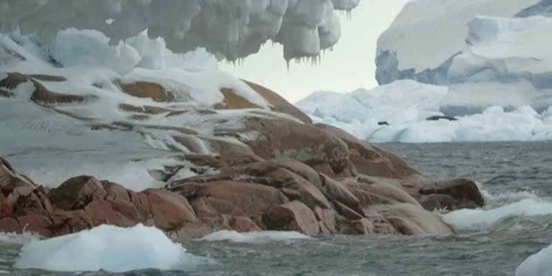 Cambio climático: surge una isla en la Antártida por efecto del deshielo glaciar