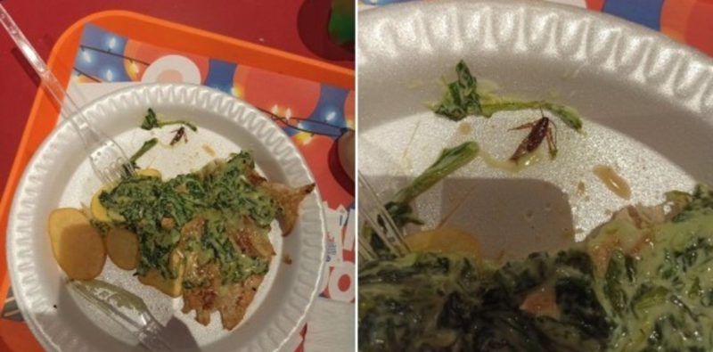 Tras la aparición de una rana en una ensalada, un cliente halló una cucaracha en su plato