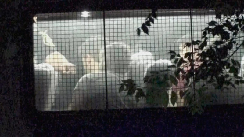 Crimen en Villa Gesell: el «sospechoso 11» se presentó en la Justicia