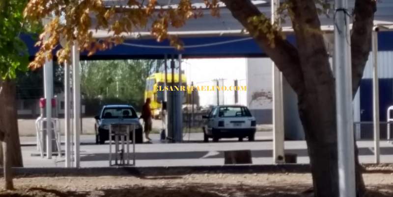 La estupidez sanrafaelina en toda su expresión