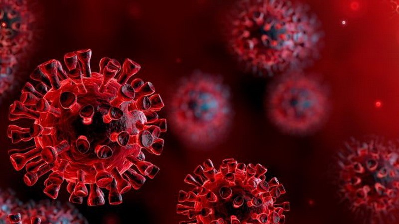 Guía rápida para entender los virus, esos «pequeños demonios astutos»
