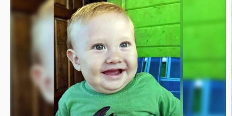 Murió un bebé de 8 meses que comió frutos de un ligustro en Misiones