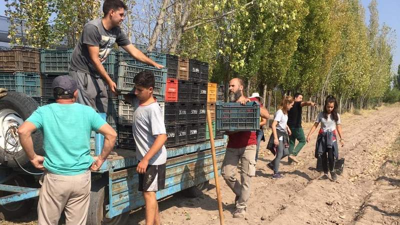 La escuela Di Benedetto experimenta el período de cosecha e industrialización
