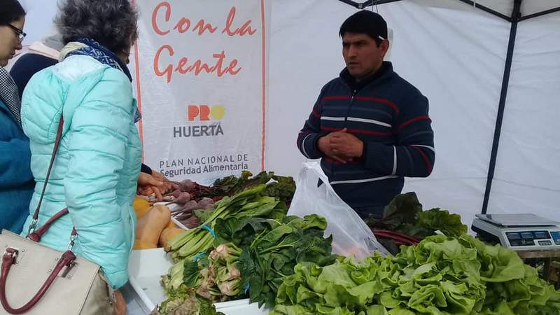 Se viene una nueva edición de la “Feria Verde”