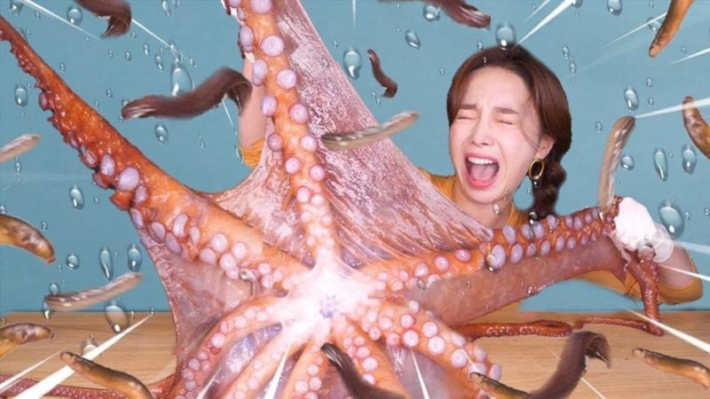 Bronca en las redes con la youtuber de Corea del Sur que tortura y come animales vivos