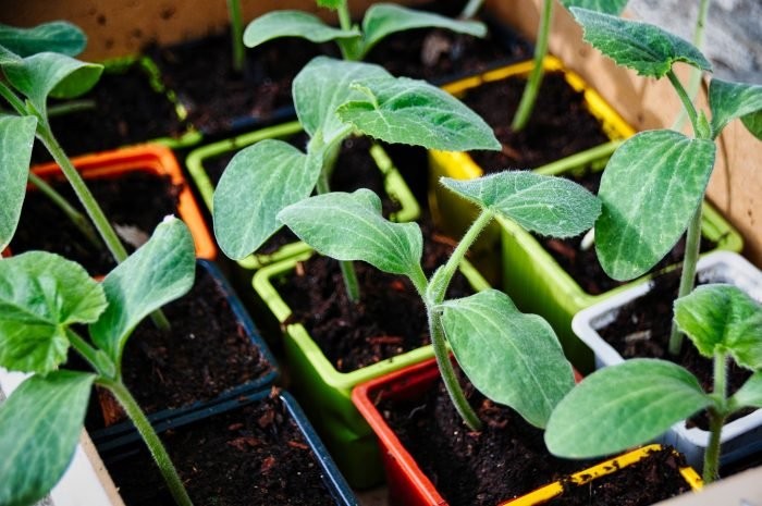 Reciclaje: más que una fecha, un imperativo de la sustentabilidad