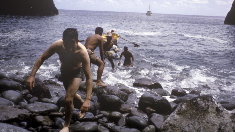 El milagro de Tonga: la historia de seis chicos que sobrevivieron solos a un naufragio en medio del Pacífico
