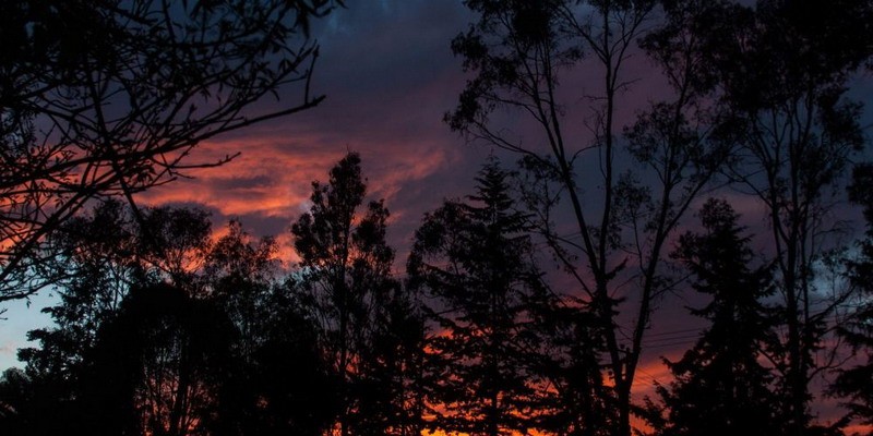 Piden a la Policía Federal un informe sobre la presencia de OVNIs en el cielo argentino