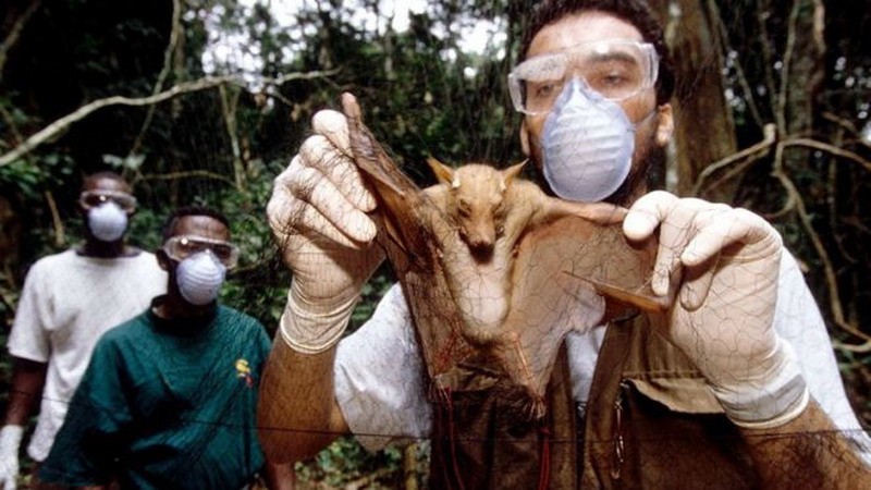 «Esta no es la última pandemia»