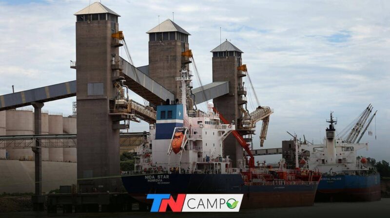 Vicentin: el Banco Nación, la AFIP y hasta YPF, entre los acreedores que reclaman $100.000 millones