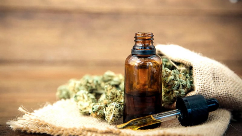 La Rioja busca convertirse en un polo de desarrollo y exportación de cannabis