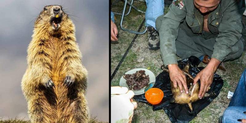 Peste bubónica: «Cuarentena indefinida» en un distrito de Mongolia