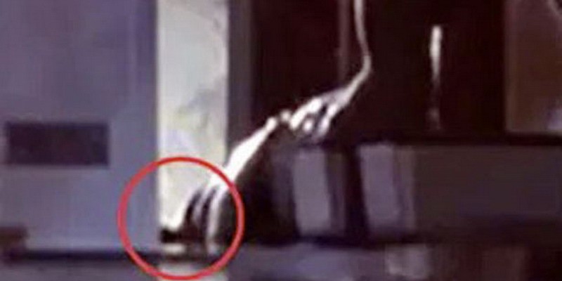 Jurassic Park el error que descubrió un fan 27 años después de su estreno
