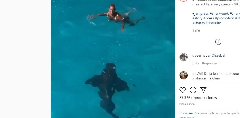 Video: un tiburón de más de dos metros le pasó por debajo