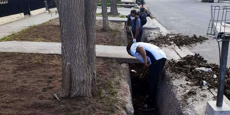 Limpieza y perfilado de acequias para que el agua llegue al arbolado y a espacios públicos