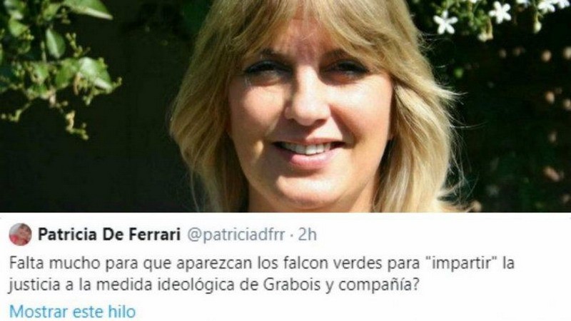 Diputada de Juntos por el Cambio pidió «falcon verdes» para Grabois