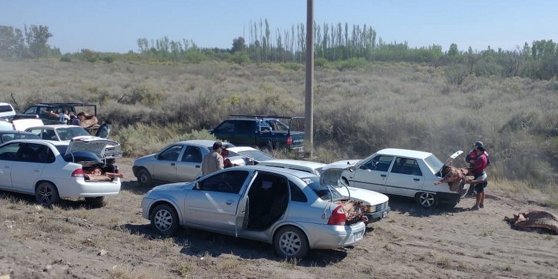 La policía investigará a quienes se llevaron la carne del camión que perdió su carga