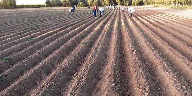 El movimiento de Grabois le respondió al empresario de Alvear