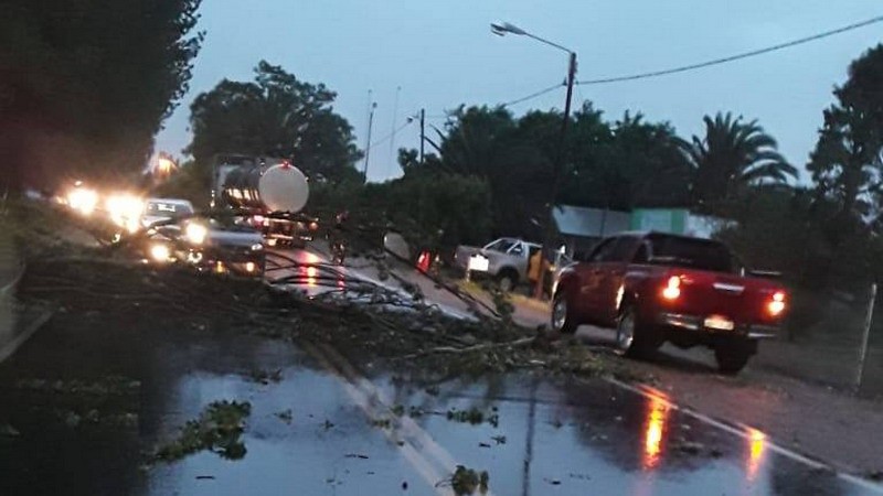 Lo que dejó la tormenta