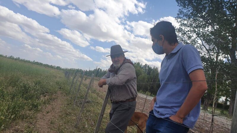Proponen declarar Emergencia Agropecuaria en Oasis productivos del sur
