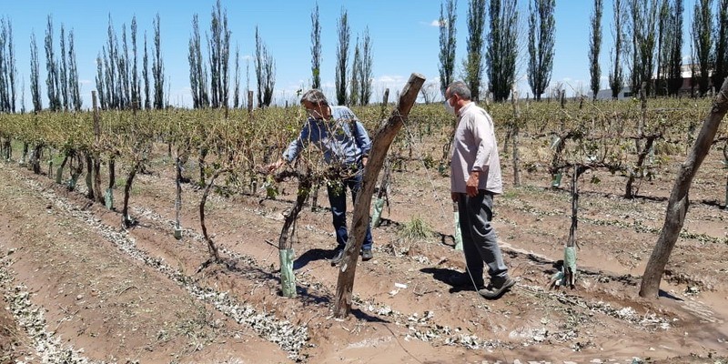 El Intendente recorrió fincas arrasadas por la tormenta del jueves