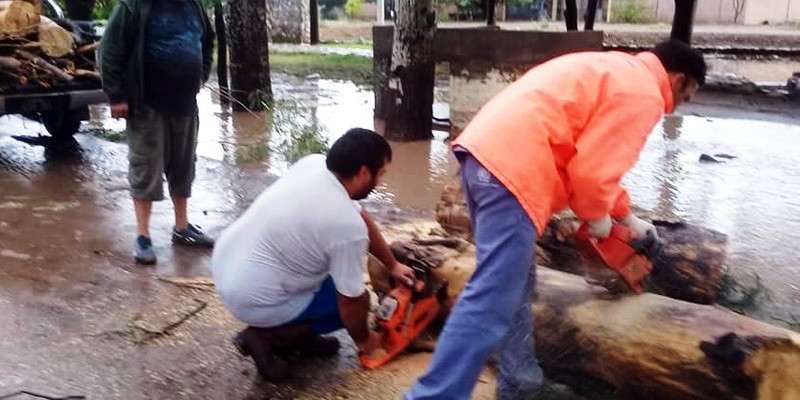 Más de 300 familias fueron asistidas tras la tormenta del lunes
