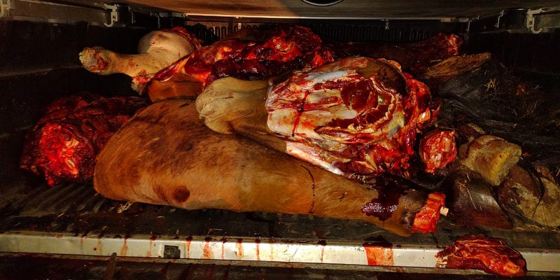 Detienen a dos personas que faenaban caballos