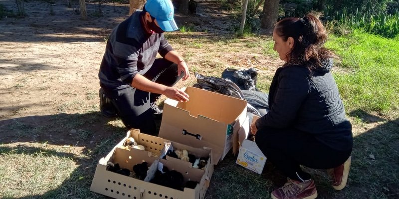 La Cruz Roja y el Inta se suman a la asistencia en Colonia Española