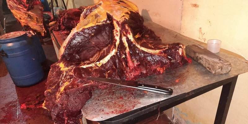 Descubren otro faenamiento clandestino de caballos en Cuadro Nacional