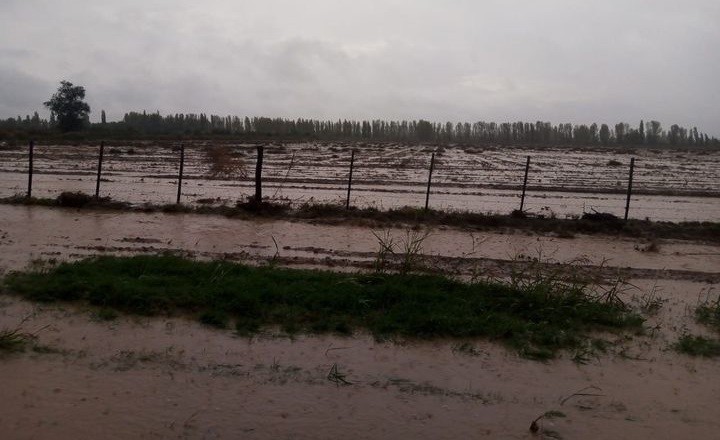 La específica de Ganadería iniciará acciones contra Hidráulica por el desborde del zanjón La Hedionda