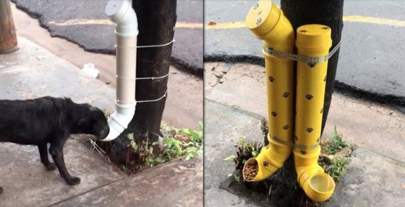 Sanrafaelino solidario: instaló comederos para perros callejeros