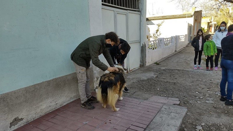 Cientos de vecinos ya se sumaron a la vacunación antirrábica gratuita por los barrios