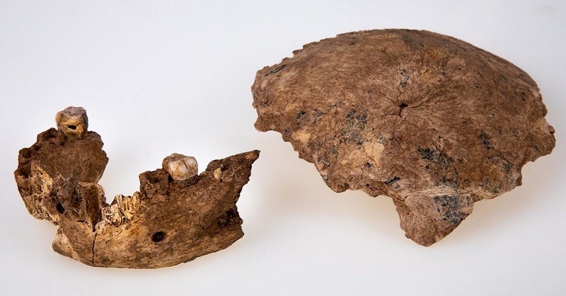 Encontraron restos de un nuevo tipo de humano prehistórico que vivió hace 400 mil años