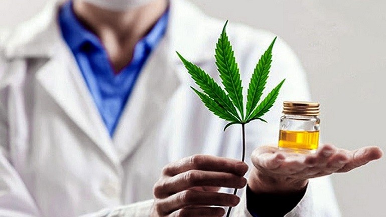 El 17,6% de las personas que usan cannabis lo hacen con fines medicinales