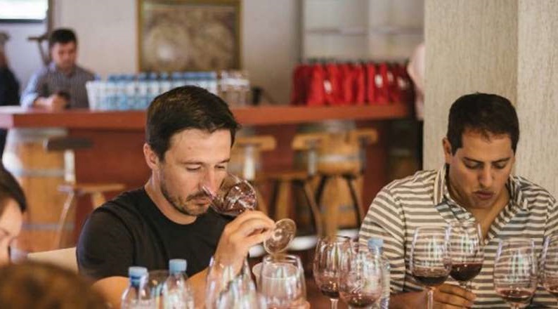 A ciegas: 75 enólogos eligen los mejores vinos del país
