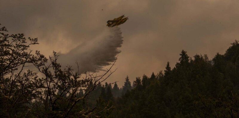 La ola de calor complican aún más el control de los incendios forestales en varias regiones del país