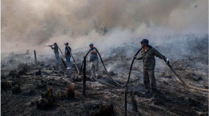 El fuego ya arrasó 800 mil hectáreas en Corrientes: “Está colaborando todo el país pero no alcanza”