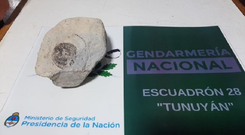 Encuentran elementos arqueológicos sustraídos en El Sosneado