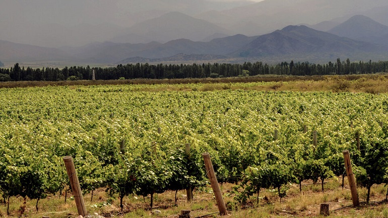 Mendoza se suma a “Viajá +”, la nueva herramienta del Banco Nación