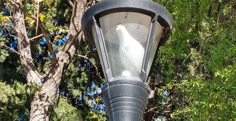 Siguen los vándalos, rompieron 19 farolas de plaza Manuel Belgrano